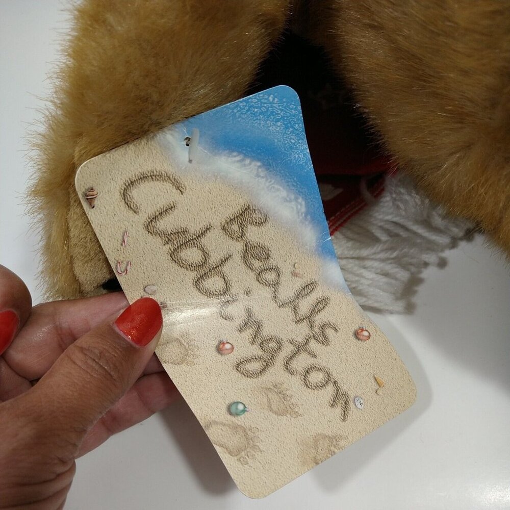 Bealls Cubbington 2001 Brown Teddy Bear Plush Stuffed Animal Scarf Stocking Hat - Picture 9 of 11